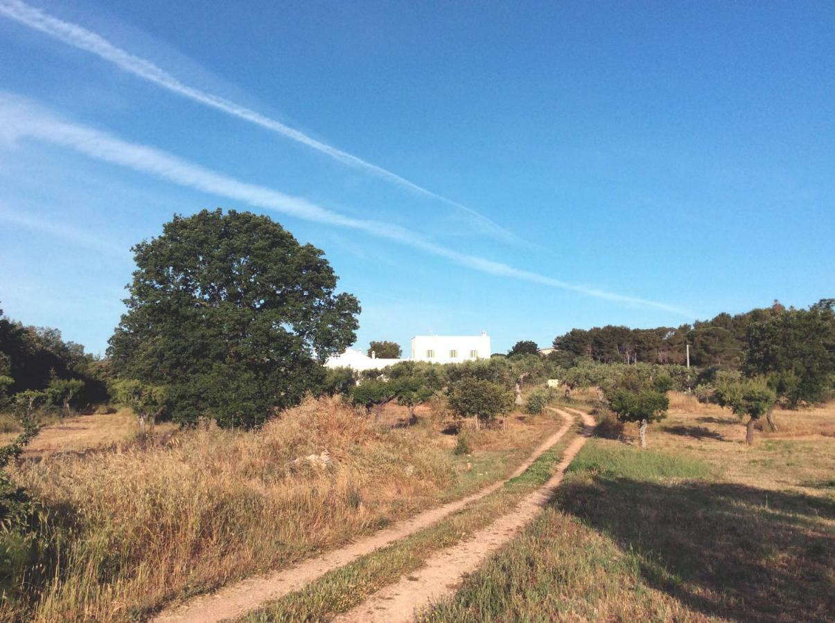 Masseria Fenicia モノーポリ エクステリア 写真